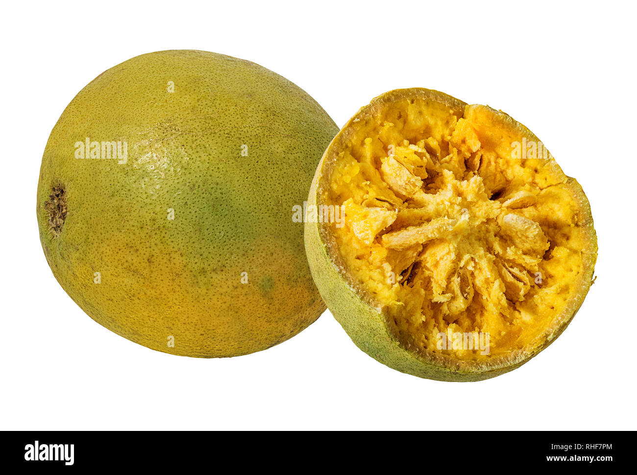 Bael frutti o legno frutto di apple (Aegle marmelos) su uno sfondo bianco Foto Stock
