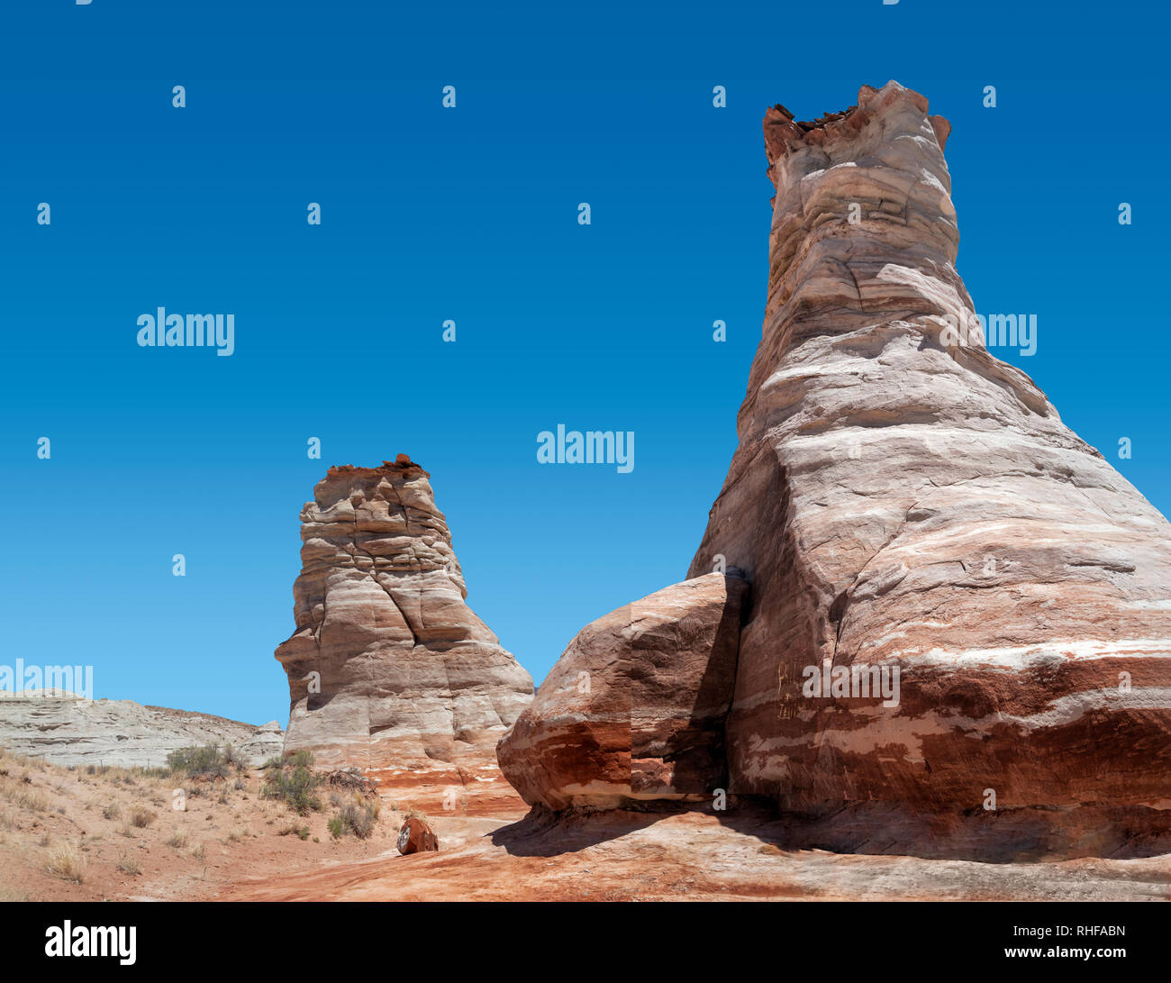 Piedi di elefante, vicino alla Monument Valley Foto Stock