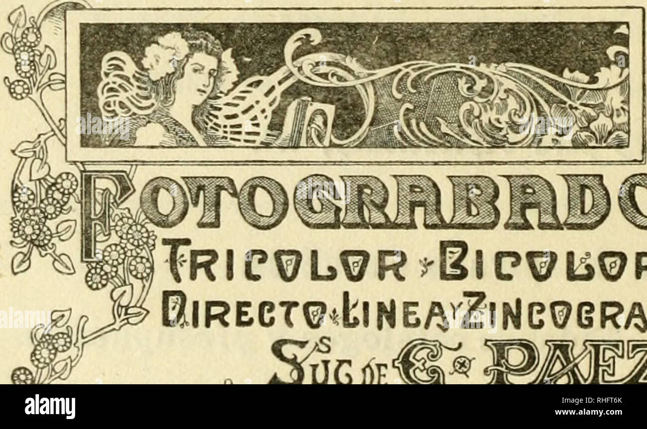 . Boletín de la Sociedad Española de Biología. Biologia. Sumario: L. M. Betances: Morfología y significación de los cuerpos de Kurloff (A propósito de trabajo onu del dott. De Buen) p. 177 Salustio Alvarado: La fina estructura de los vasos leñosos (Nota Previa) p. 181 José M. Sacristán: La hiperglucemia nicotínica p. 188 P. del Bío-Hortega: histológicas Particularidades de la fascia dentata en algunos mamíferos p. 191 José Sopeña: Alteraciones respiratorias consecutivas a la pun- ción del cuarto ventrículo p. 206 José A. deLaburu: Especificidad del método tano-argéntico para la impregnación de los Foto Stock