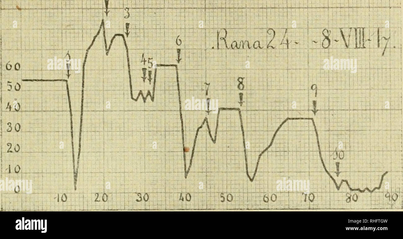 . A BoletÃ n de la Sociedad EspaÃ±ola de BiologÃ-a. Biologia. ESTUDIOS SOBRE LA SUBSTANCIA RECEPTIVA 153 5.^ El cloruro bà¡rico y la adrenalina no actÃºan sobre partes idÃ©nticas de la miocÃ©Lula. Al far la discusiÃ³n de nuestros resultados, expondremos la tÃ©cnica de los Estudios de Cathcart y Clark analizaremos y el fun- damento de sus conclusiones. La acciÃ³n de la nicotina Â Antes de poder utilizar la acciÃ³n com- binada de la nicotina y el curari, en que se basa el mÃ©todo farma- codinÃ¡mico del estudio de la substancia receptiva, nos hemos visto obligados a examinar El comportamiento de Foto Stock