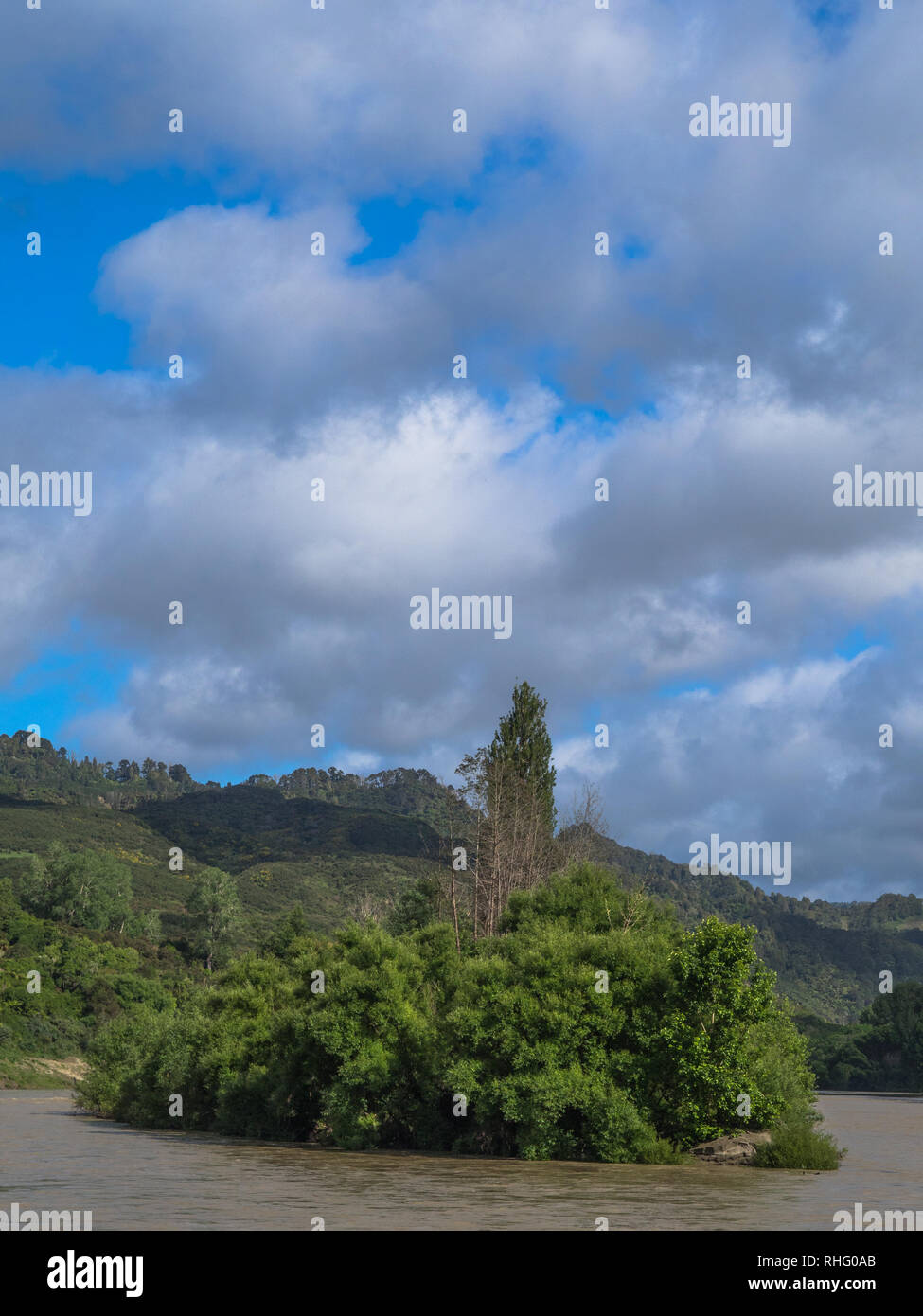 Isola Moutoa, sito di una importante battaglia nel 1864, tra Whanganui Maori, durante la Nuova Zelanda guerre, Whanganui River North Island, Nuova Zelanda Foto Stock