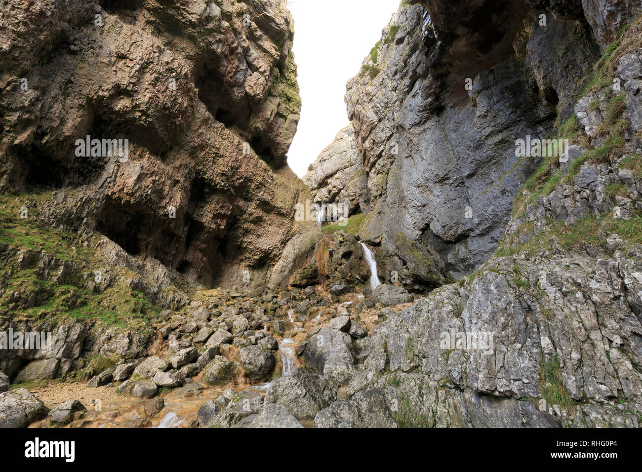 Gordale Scar con gli arrampicatori scalare la cascata, Yorkshire Dales Foto Stock