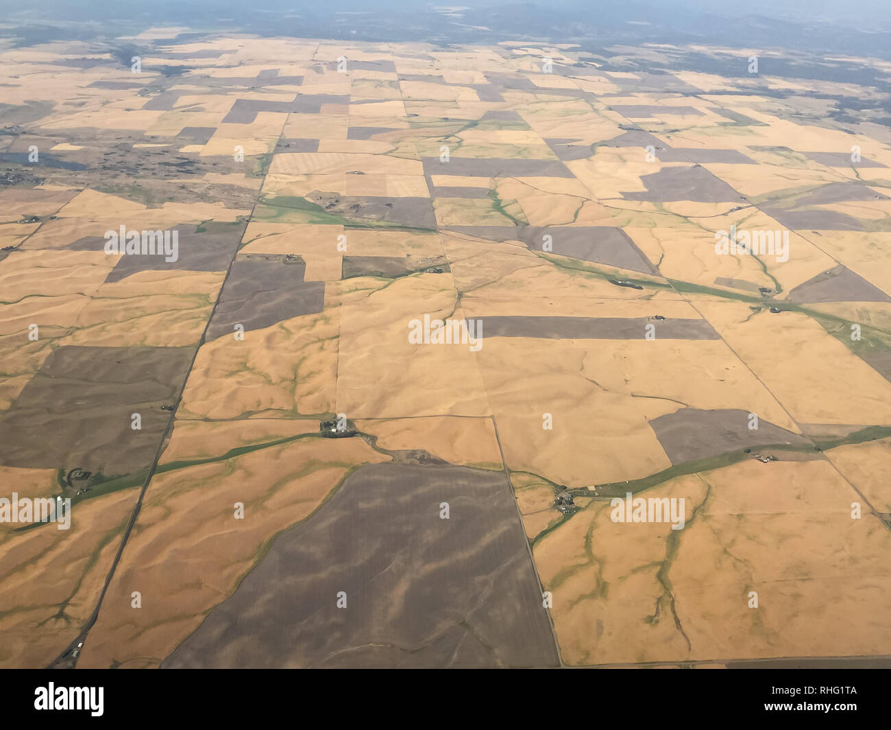 Vista aerea di chiaramente definiti campi, remote fattorie e terreno secco dello Stato di Washington vicino lago medica Foto Stock