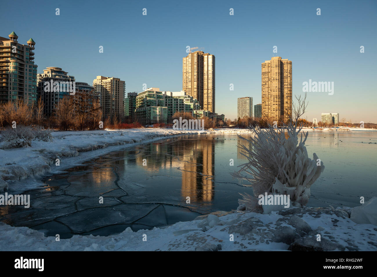 Panoramica invernale canadese paesaggio vicino a Toronto, bella congelato il lago Ontario al tramonto. Paesaggio di inverno alberi, acqua e cielo blu. Foto Stock