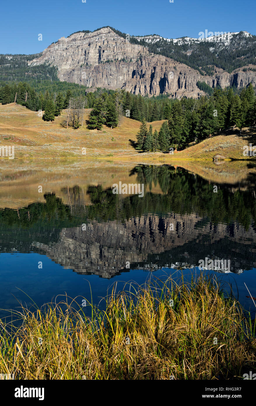 WY03094-00...WYOMING - Colline riflettente della trota in lago situato in Soda Creek Valley del Parco Nazionale di Yellowstone. Foto Stock