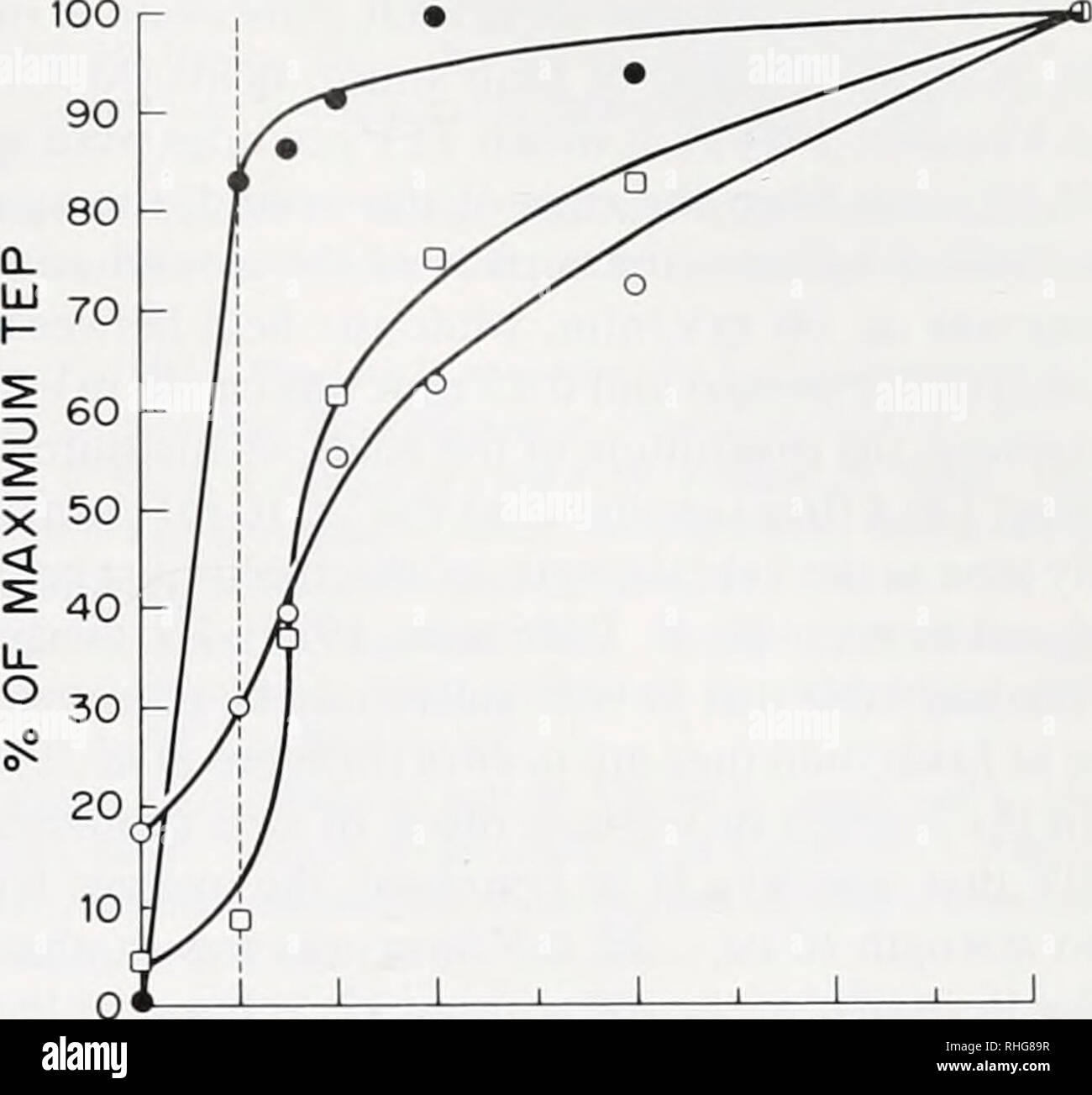 . Il bollettino biologico. Biologia; Zoologia; biologia; biologia marina. Campi in prossimità di piccole ferite 100 r 181 0 0,5 1 1,5 2 Distanza dalla ferita (mm) La figura 1. Laterale potenziale avvolto in newt normale pelle. Una ferita ca. 0,25 mm di diametro è stata effettuata a metà arto posteriore cifra la punta e la potenziale transepithehal della pelle è stata misurata a 0, 0,25. 0.5. 1. e 2 mm dal bordo della ferita. La pendenza della differenza di potenziale tra il bordo della ferita e un punto 0,25 mm di distanza dalla ferita viene presa come la ferita laterale potenziale. In questo caso, la ferita laterale potenziale è stato 66 mV/mm. mm Foto Stock