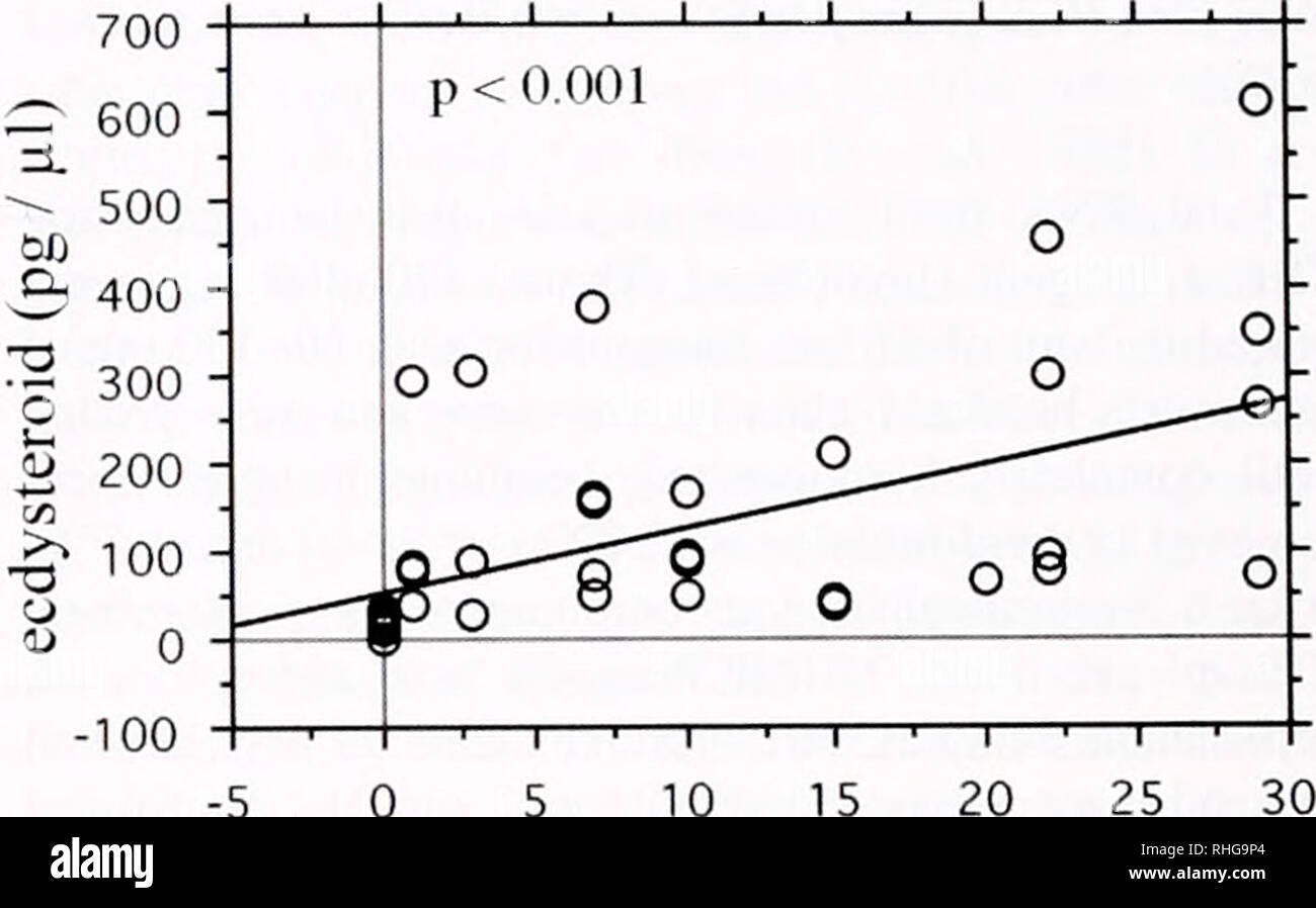 . Il bollettino biologico. Biologia; Zoologia; biologia; biologia marina. 130 S. MEDLER ET AL. (1985). Brevemente. 10% di gel di separazione (37,5:1 acrylamicie: N,N-metilenbisacrilammide) sono state utilizzate per separare circa 4-6 /J,g myofibrillar proteine, utilizzando un Bio-Rad Mini-Pro- tean 3 sistema di gel. I gel sono stati colorati con blu Coomassie o argento (Wray el al., 1981). e la relativa quantità di actina e MHC dall'argento-gel colorati sono state deter- minato dalla scansione di densitometria (NIH Image 1.62). Analisi statistica per le analisi di regressione, i numeri del mRNA myofibrillar copie sono state log-trasformato in rosso Foto Stock