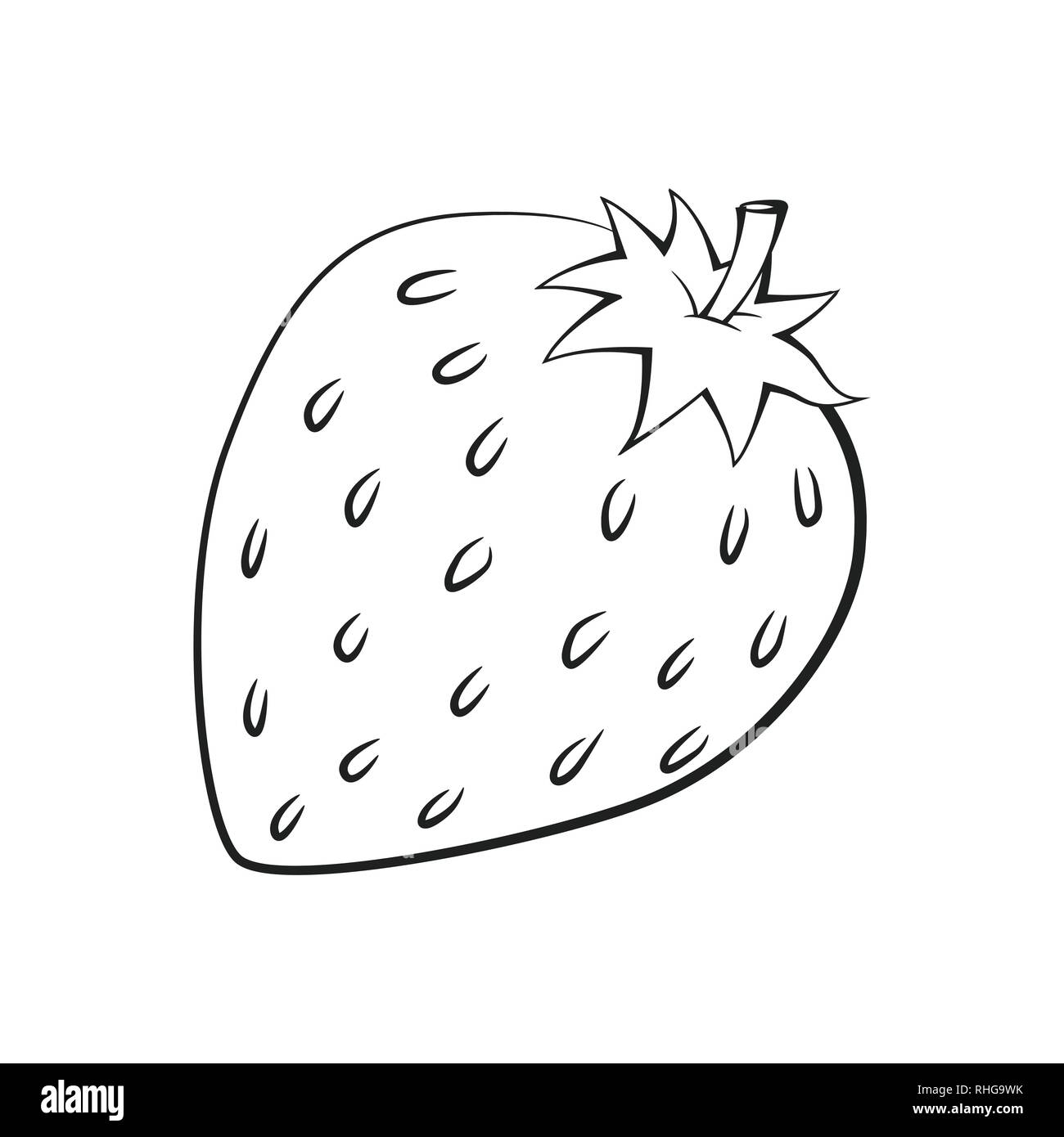 Illustrazione di fragola isolati su sfondo bianco, fresco cibo sano, organico naturale di frutta per il libro da colorare. Disegnata a mano illustrazione vettoriale. Illustrazione Vettoriale