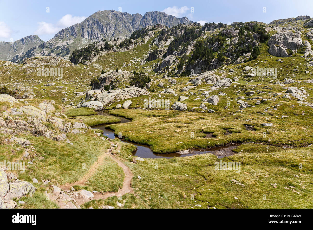 Creek attraversando una splendida valle dei Pirenei catalani Foto Stock