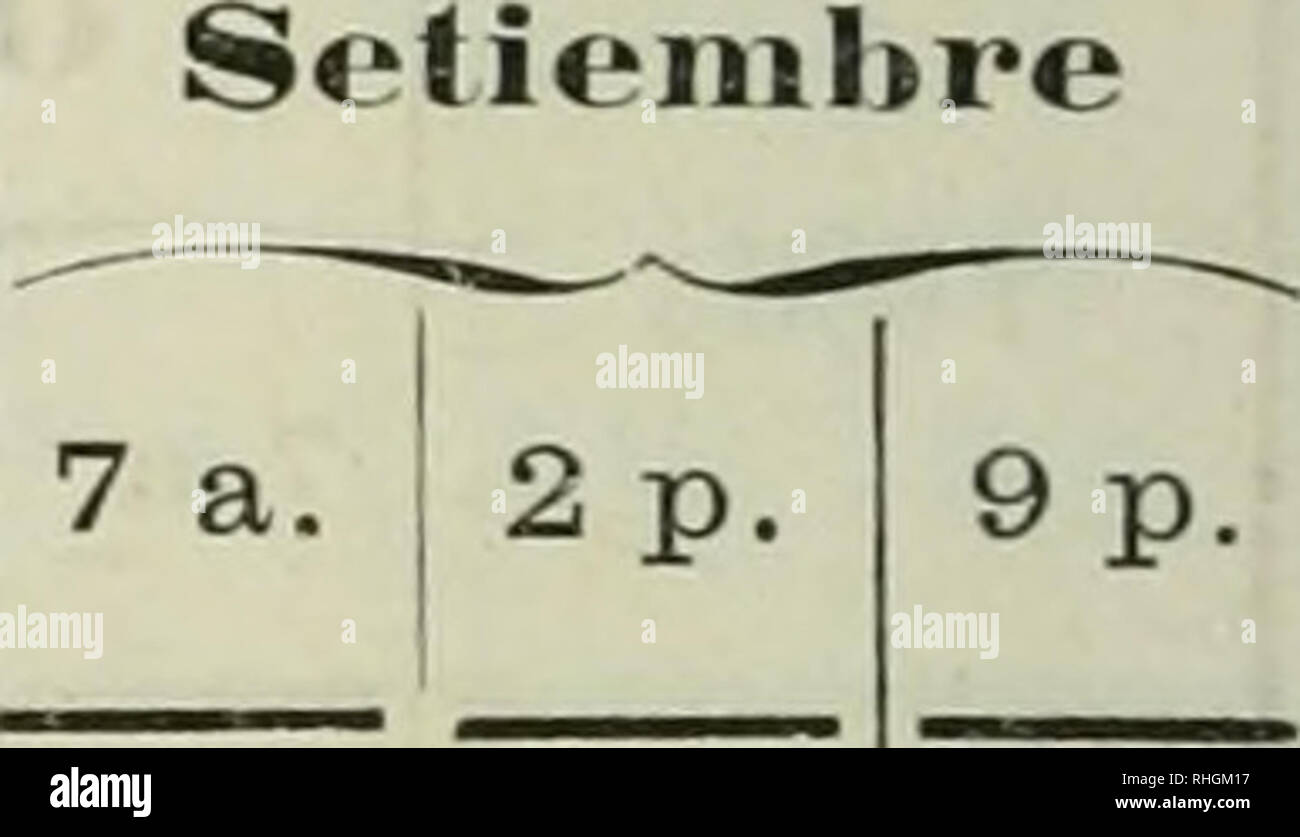 . BoletÃ-n. La scienza. 31.0.D 30.78 29.04 30.41 28 30 35 34 34 35 32 24 30 27 25 !Â¿9 â 28 34 29 23 19 i32 Ã28 37 38 |36 132 30 26 29 32 Â¡32 32 31 31 ,71 31 80 30 31.53 29.04 32,26 30,98 33. .32. 32. 32. 28. 20. 29. 25. 21. 29. 24 32. 24. 19 27. 29. 32. 35. 36. 34. 29, 28, 22. 29, .30, 30. 29. 29. 27, 29.63 27. 77 29.87 29.11 ,26 33 00 28 34 26. 23. 32, 23. 26. 28. 28. 28. 25. 28. 33. 53 20. 66 28. 59 20. 81 23. 06 23 80 '26 .80 33 31.23 29.62 31.49 30.80 .93 .11 .08 .72 .22 .92 ,43 ,48 82 .80 .14 .31 .86 .44 ..50 .17 .45 .06 .20 .71 28.12 29.45 32,48 .30.02 26. 26. 25. 26, 26. 33, 30, 25, 21, Foto Stock