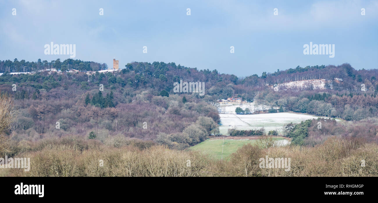 Leith Hill, Surrey, Regno Unito - 02 Febbraio 2019: Vista di Leith Hill preso dal suo lato sud in una fredda giornata invernale con il percorso fino a Leith Hill Tower. Foto Stock