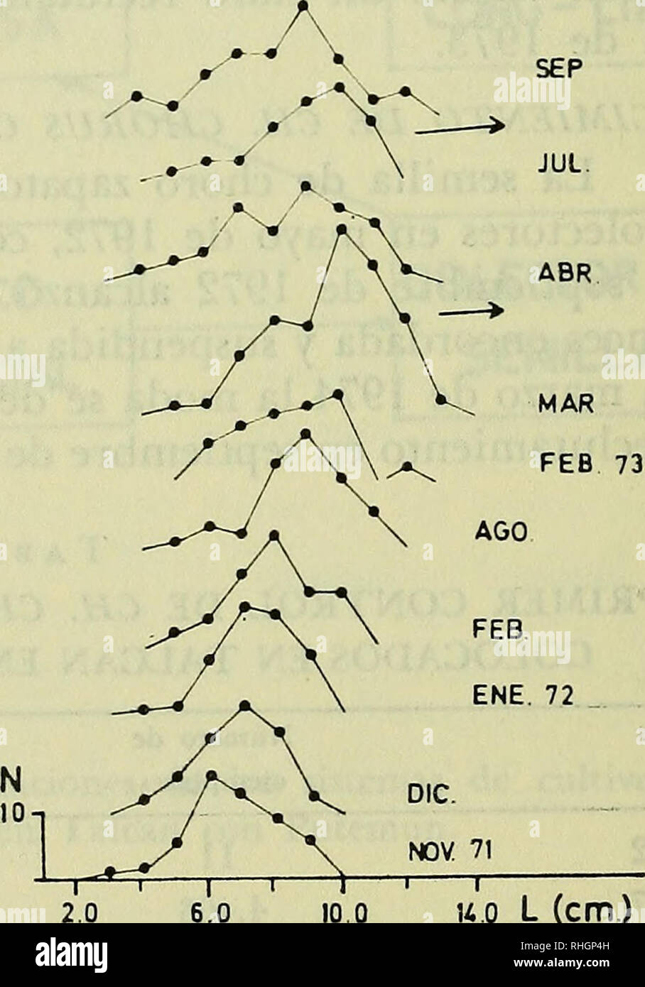 . Boletim de la Sociedad de Biología de Concepción. La Sociedad de Biología de Concepción; biologia; biologia. FEB ENE 72 • .,, DIC 7t 5 0 10 0 uo L{cm.) 10,0 l (cm). 10 o uo L (cm). Fig. 3.-Distribución según tallas de Ch. chorus en balsa. Talcan 1971-1973. Las flechas indican desprendimiento de adultos. Fig. 4.- Distribución según tallas de Ch. chorus en lungo la linea Talcan 1971-1973. La flecha de la izquierda indiche fijación de il novellame, la de la derecha desprendimiento de adultos. Fig. 5.- Ds- tribución según tallas de Ch. chorus en colector de fondo (linea de trazos) y en balsa (linea continua) Foto Stock
