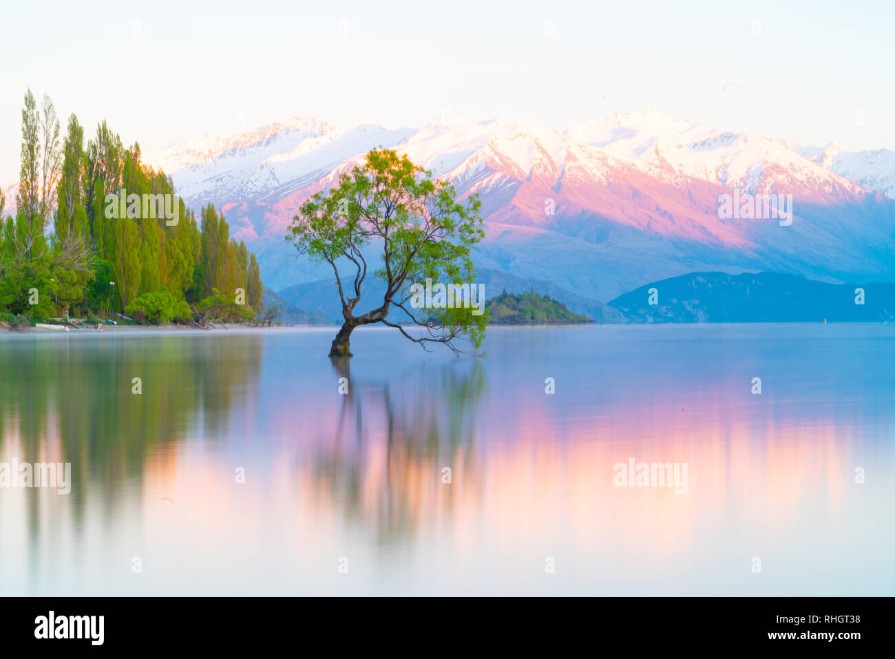 Che arriva a Wanaka Tree, Willow tree crescono in lago è meta turistica molto in scena a lunga esposizione con i colori del tramonto riflesso da montagne coperte di neve behin Foto Stock