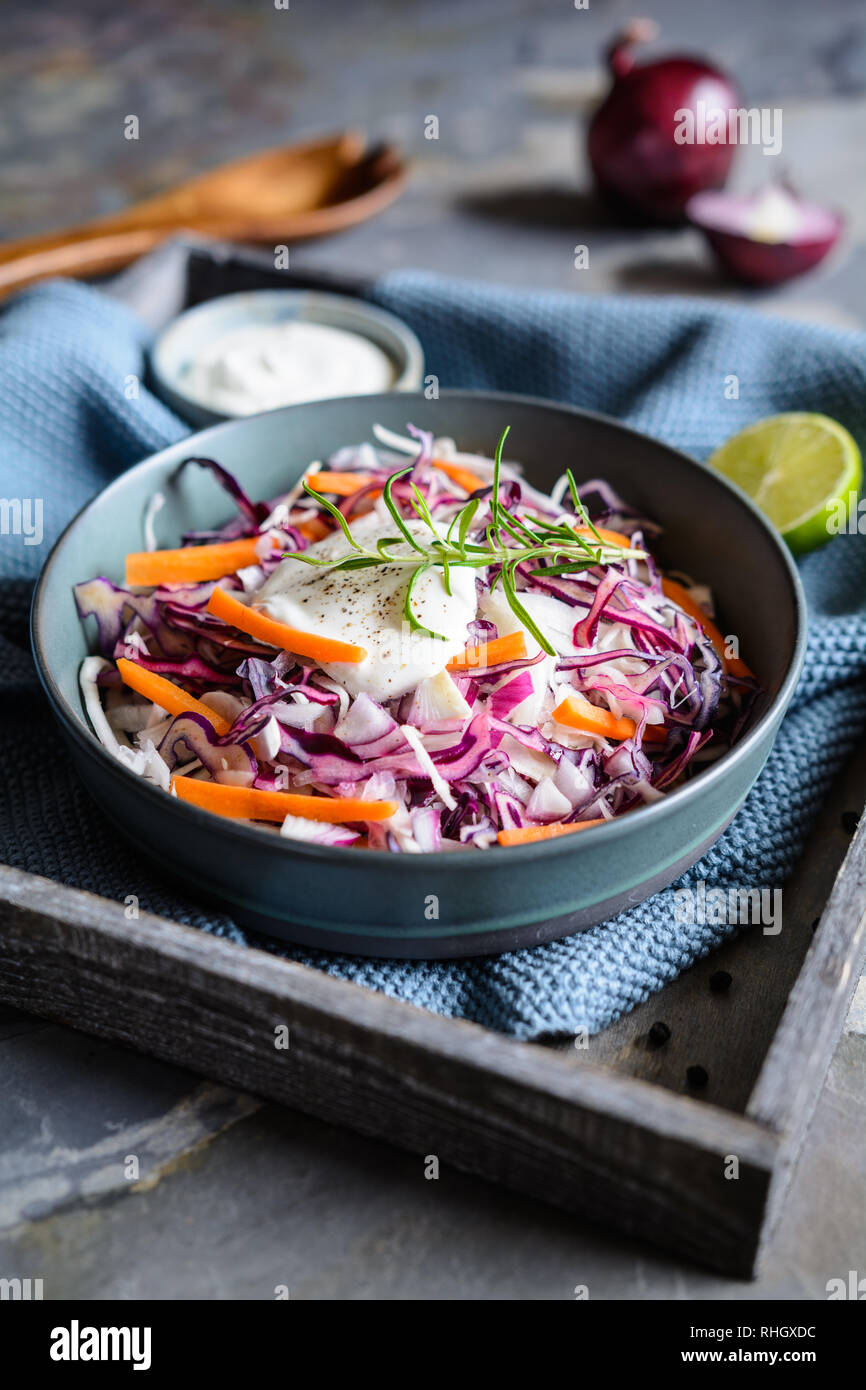 In casa Coleslaw insalata con il bianco e il rosso del cavolo rosso, cipolla, carota e panna acida Foto Stock