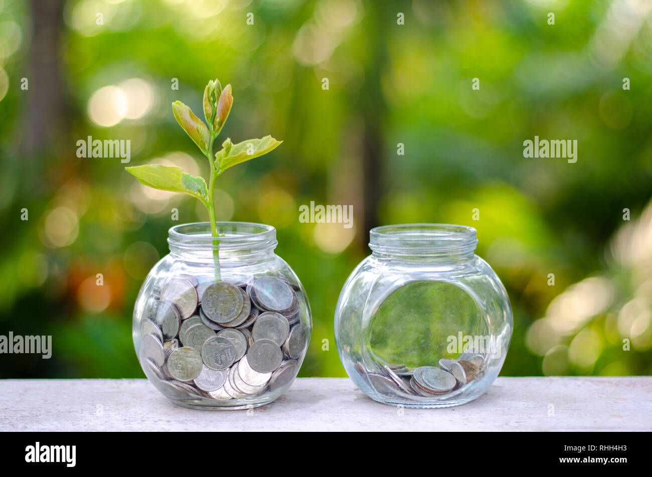 Albero di monete il vasetto di vetro di crescita della pianta da monete al di fuori del vaso di vetro sul verde sfocata fondo naturale di risparmiare denaro e di investimento Concetto finanziario Foto Stock
