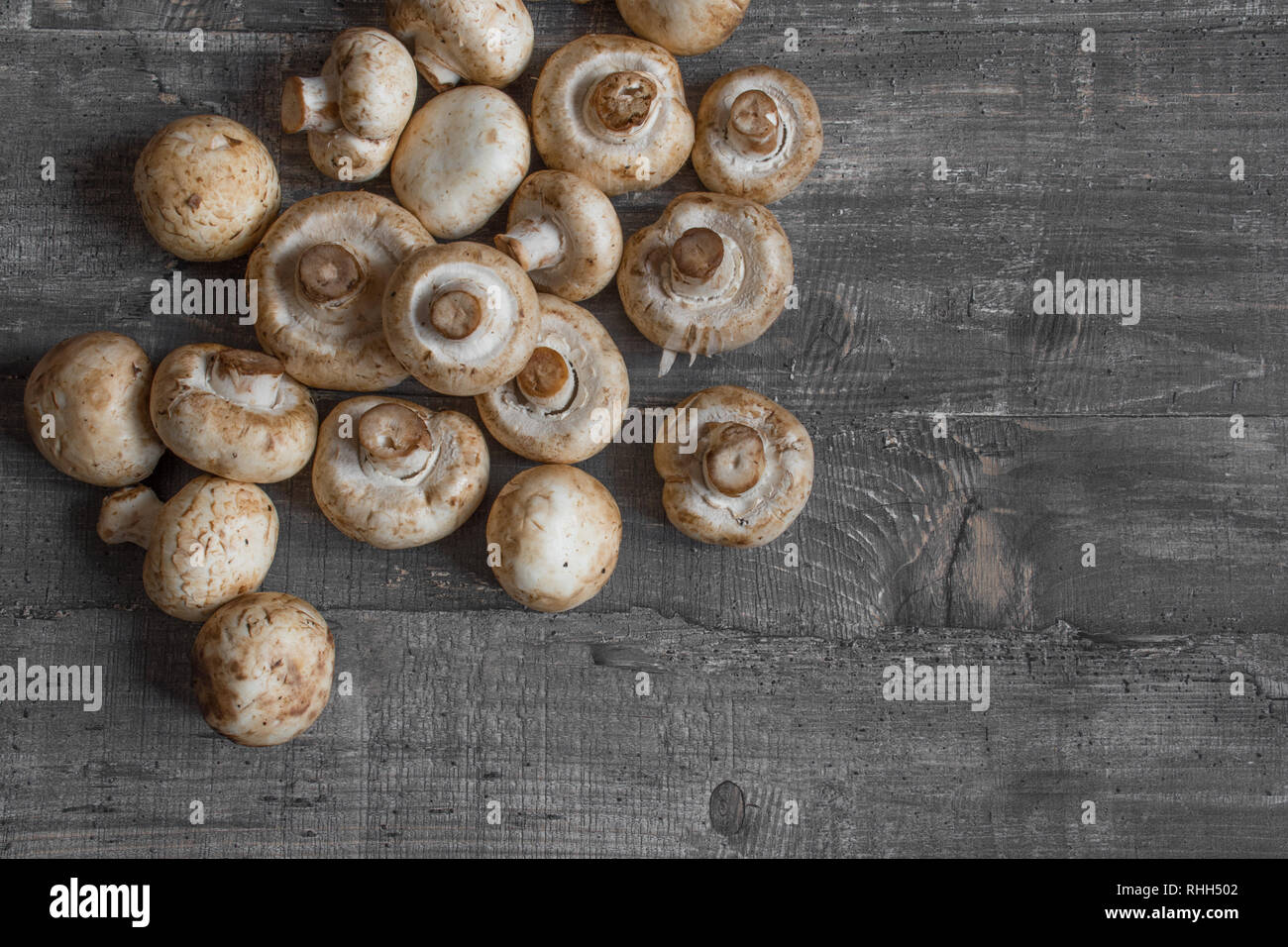 Funghi champignon sulla scrivania di legno scuro alto il layout di visualizzazione Foto Stock