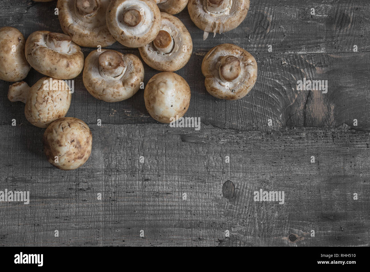 Funghi champignon sulla scrivania di legno scuro alto il layout di visualizzazione Foto Stock