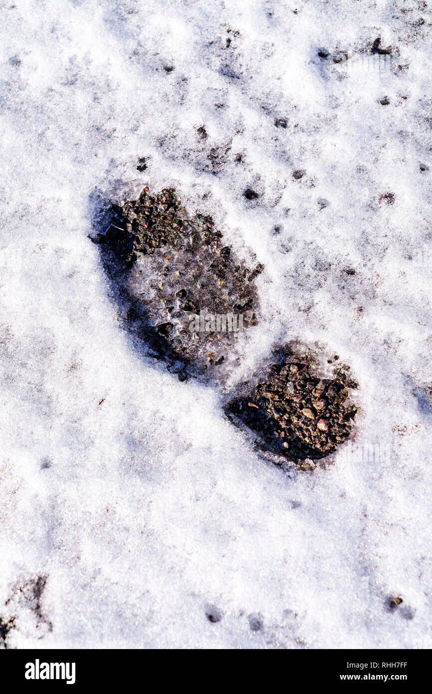 Stampa del piede nella neve Foto Stock