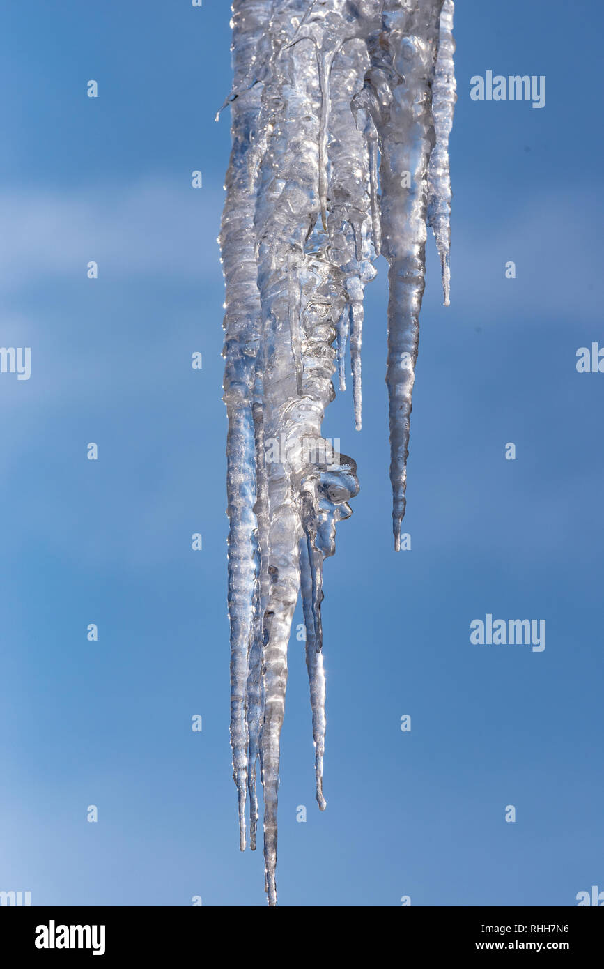 Pericoloso big frosty ghiaccioli. Foto Stock