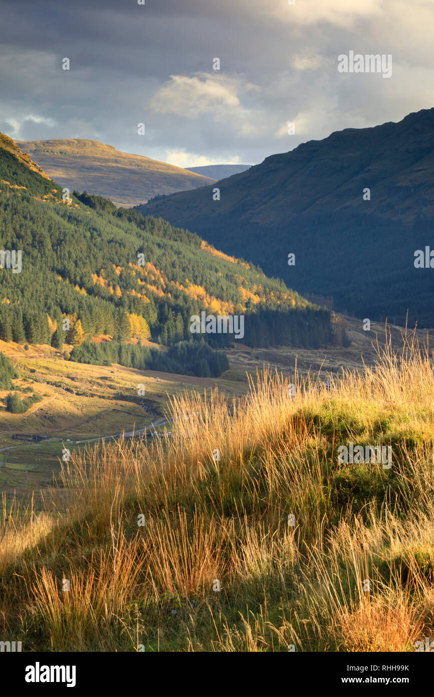 La vista a ovest dal resto e essere grati al Loch Lomond e il Trossachs National Park in Scozia. Foto Stock