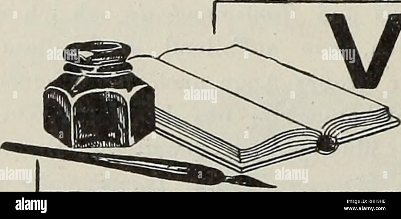 . Blätter für Aquarien- und Terrarien-Kunde. 170 Vereins-Nach richte a. Schildlänge messende Schildkröte von der Gattung Emys europaea zugesellte. Das Tier, welches sofort auf der in der Mitte des Beckens befindlichen Insel Platz nahm, kümmerte sich anfangs gar nicht um das unter ihr herrschende Lehen und Treiben, trotzdem ich sie vorher hatte tüchtig hungern lassen. Indem sie Kopf und Füße einzog, überließ sie sich einfach der Ruhe, così daß ich beschloß, meine Beobachtungen zu einer anderen gelegentlicheren Zeit fortzusetzen. Am Tage jedoch darauf überraschte ich sie Wasser im, wie sie gerade Foto Stock