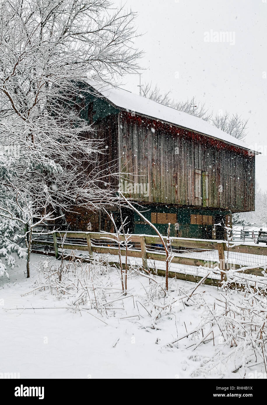 Fienile in una fattoria la neve in inverno, Glen Rock, Pennsylvania Foto Stock