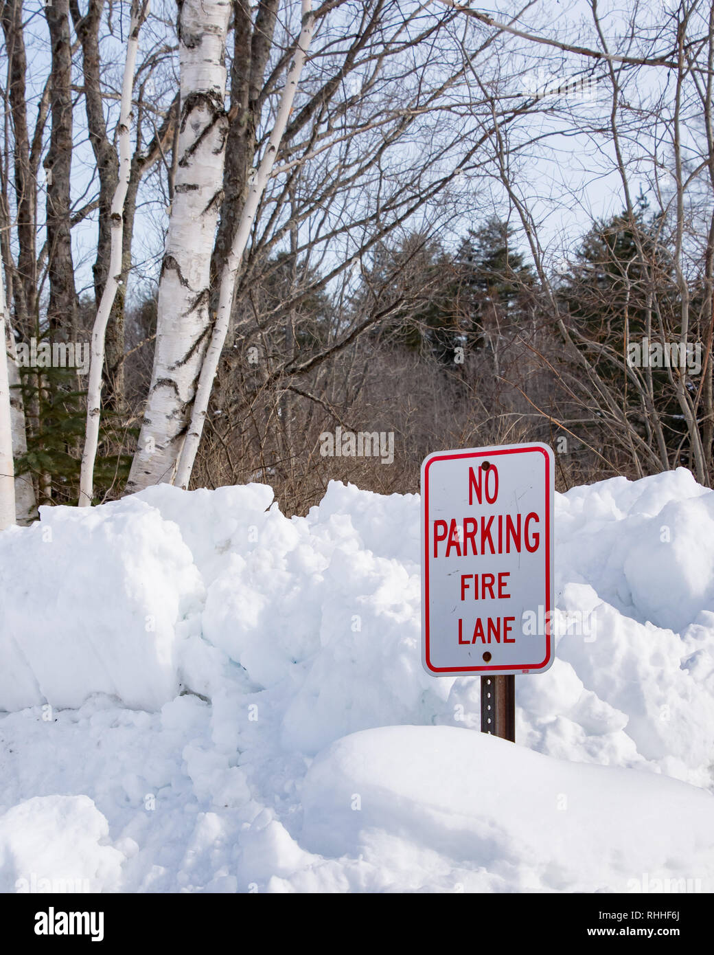 'Nessun parcheggio Fire Lane' firmare su cumuli di neve nei pressi del fiume Sacandaga in speculatore, NY mantenendo la zona aperta per camion fuoco per attingere acqua dal fiume Foto Stock