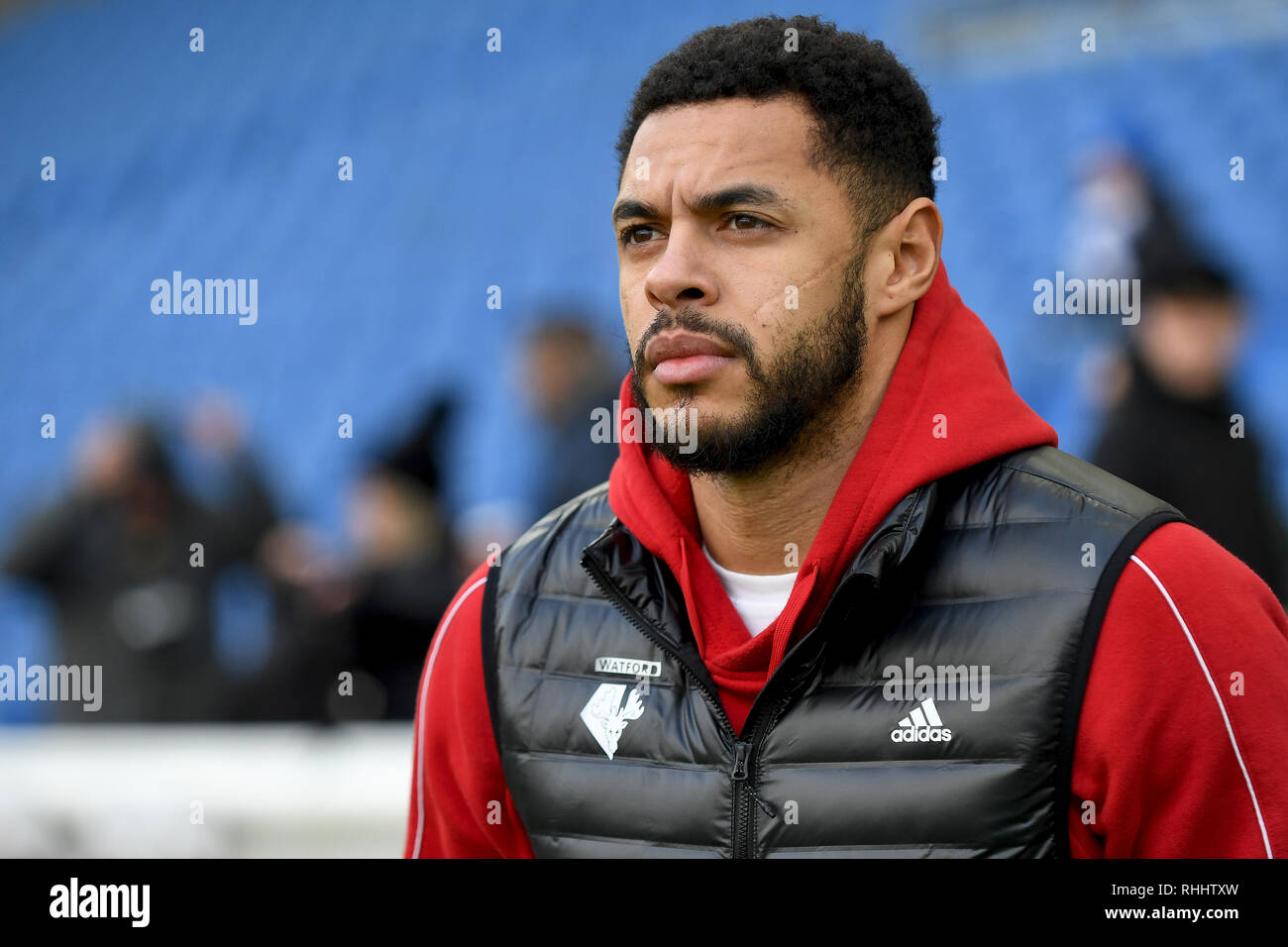 Andre grigio di Watford - Brighton & Hove Albion v Watford, Premier League, Amex Stadium, Brighton - 2 Febbraio 2019 solo uso editoriale - DataCo restrizioni si applicano Foto Stock