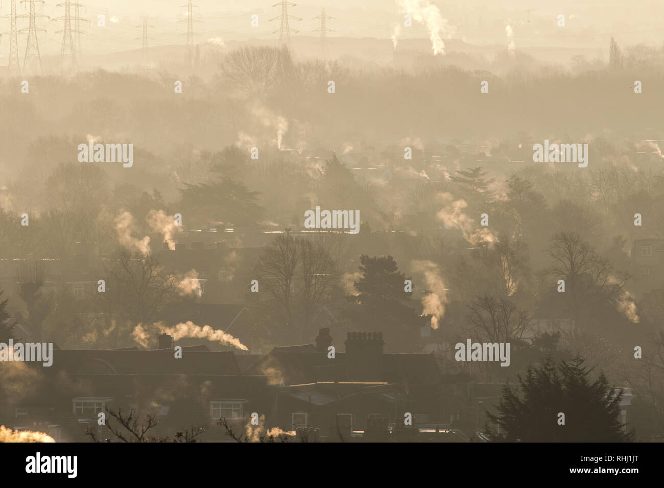 Londra REGNO UNITO. 3 febbraio 2019. Tetti di Wimbledon immerso nella luce del sole invernale in un freddo e gelido mattina come a bassa temperature di congelamento continua a credito: amer ghazzal/Alamy Live News Foto Stock