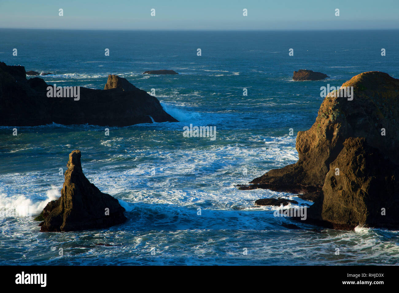 Seastacks, Mendocino County, California Foto Stock