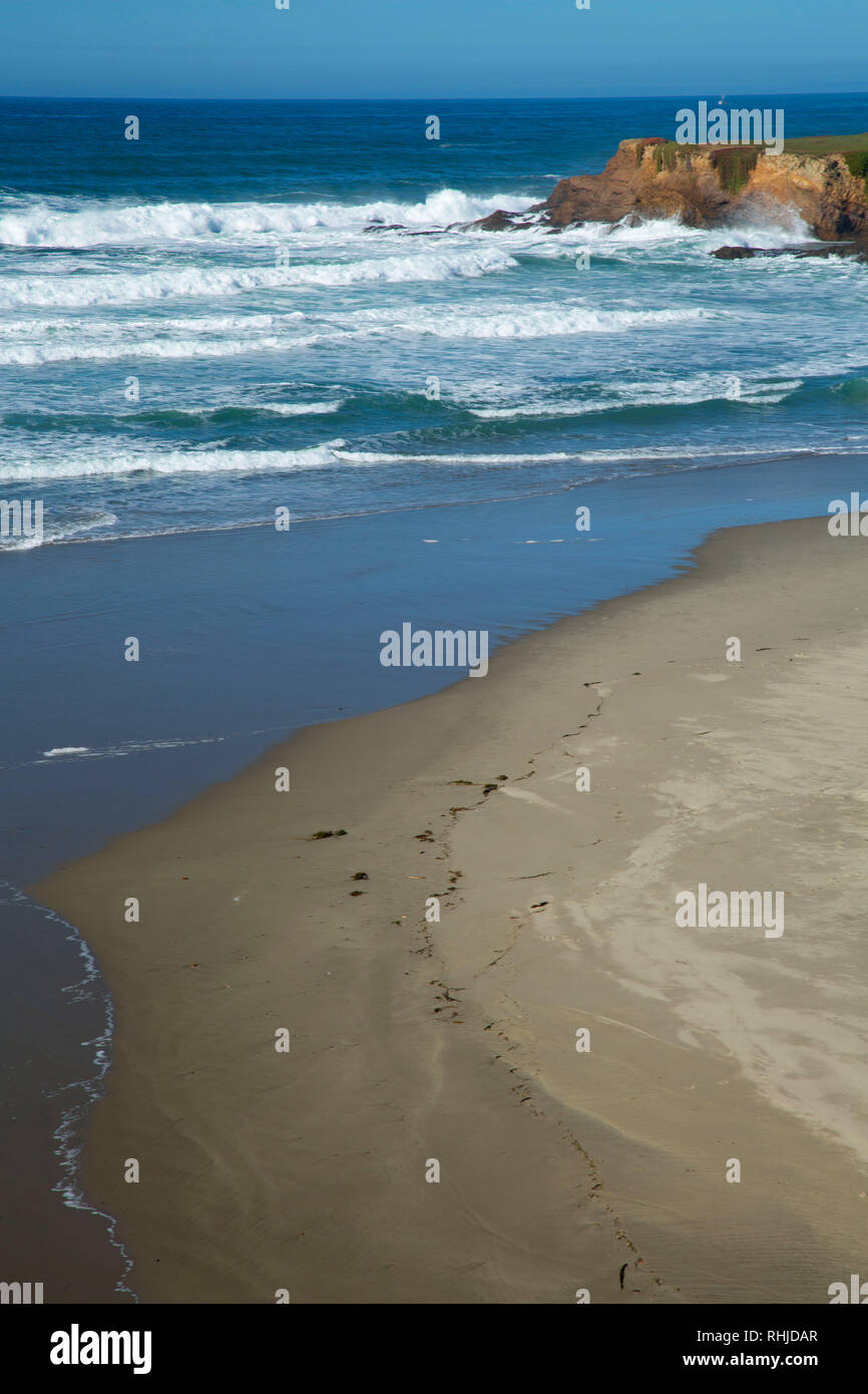 Coast Trail viste, MacKerricher State Park, California Foto Stock