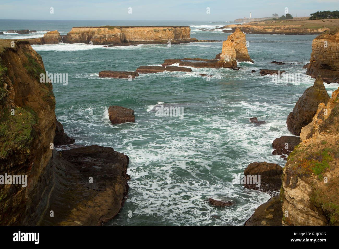 Coast Trail view, punto unità Arena-Stornetta, California costiera monumento nazionale, California Foto Stock