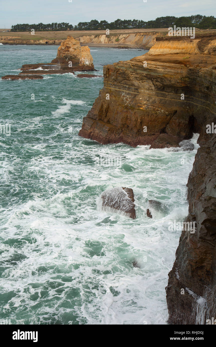 Coast Trail view, punto unità Arena-Stornetta, California costiera monumento nazionale, California Foto Stock