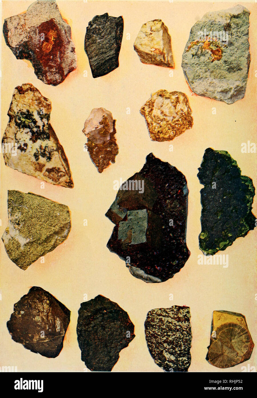 Gli uccelli &AMP; la natura. Gli uccelli; storia naturale. 268 minerali.  CHICAGO : A. W. MUMFOHD, Publisher. I campioni nella parte superiore della  pagina sono oro roccia del cuscinetto. Argento quarzo.