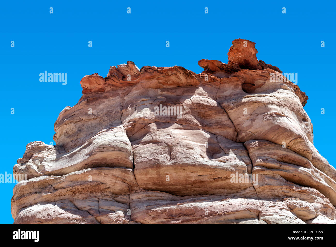 Piedi di elefante, vicino alla Monument Valley Foto Stock