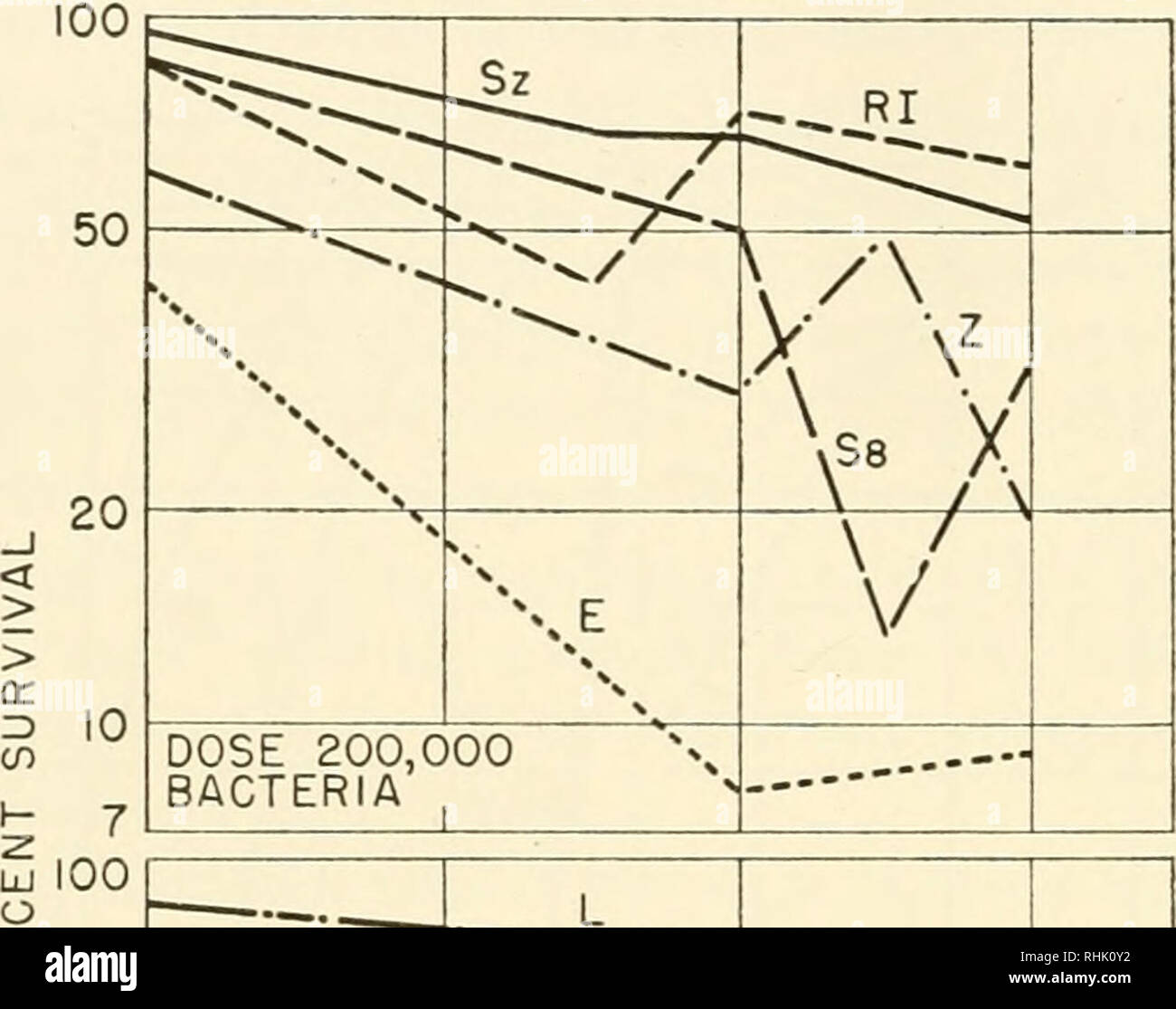 . Biophysical Research metodi. Biofisica -- Ricerca. 472 John W. G O W E N il numero di geni non interessati è pari a y, il numero originale di geni è N, la dose di raggi X in r. unità è d, e 6 è una costante, questa equazione diventa y = Ne-"'^ esposizione di cellule del sangue di un organismo a raggi X è nota per modificare la frequenza di leucociti nel sangue. Questi. tr UJ a. 50 :v 20 10 ^. DOSE 100 batteri Ba ^ 200 400 x dose di raggi r. 600 Fig. 8. Effetto delle radiazioni X in un abbassamento della resistenza di diversi ceppi di topo a dosi di tifo organismi. cambiamenti hanno p Foto Stock