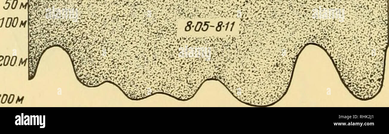 . La biologia dei mari del U.R.S.S. Biologia Marina -- Unione Sovietica; idrologia -- Unione Sovietica. N6S°30'70' 30' 71° 30' 72° 30 73° 30' 74° 30' 75° così' 76° 3C 25?. 200? 300m Fig. 26. La stessa della Fig. 25, nei mesi di marzo e aprile 1930 (Kreps e Verzhbinskaya, 1930, 1932). decenni (1920 a 1950) è di circa 2-62° ? In maggio e 4-41° ? In agosto; più oltre, anche qui abbiamo un esempio di aumento di temperatura graduale nel corso di lunghi periodi {Tabella 29). Tabella 29 Periodo maggio agosto media per 1900-06 Media per 1921-34 2-16° 2-84° 3-94° 4-64° differenza +0-68 +0-70 acque della parte occidentale del Mare di Barents Foto Stock