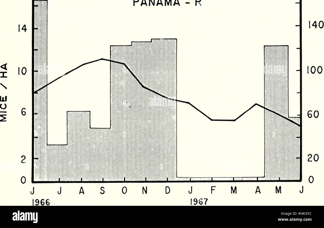 . La biologia della Heteromyidae. Heteromyidae. Ecologia tropicale 605 PANAMA - R. 180 3 3 Fig. 2.-continua. peared a non tenere a Panama-S dove im- matura sono stati relativamente numerose tardi nella stagione piovosa quando bassi livelli di fruitfall sono state osservate (Fleming, 1971: Tabella 18). Sopravvivenza differivano tra le popolazioni di H. desmarestianus. A La Selva, gli individui che ha vissuto più a lungo e una popolazione annuale di sopravvivenza è stato superiore a quello di Los Tuxtlas (Tabella 2). In entrambe le posizioni, però, la maggior parte degli individui che sono stati intrappolati regolarmente scomparso dalla griglia dopo un anno (Fleming, 1974a; Sanchez-Cordero, in pr Foto Stock