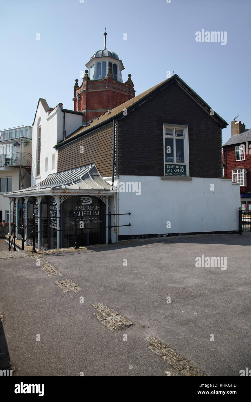 LYME REGIS, Inghilterra - 11 Maggio 2009: Lyme Regis Museum (Mary Anning museo), inclusi i fossili dalla zona circostante risalente al Giurassico p Foto Stock