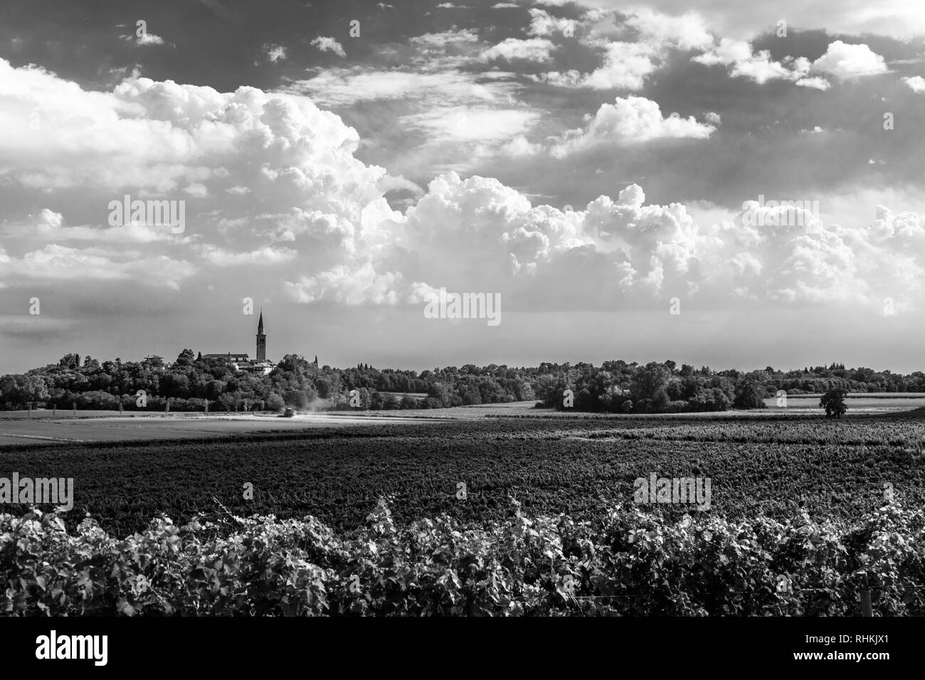 Giorno tempestoso nei campi del Friuli Venezia Giulia Foto Stock