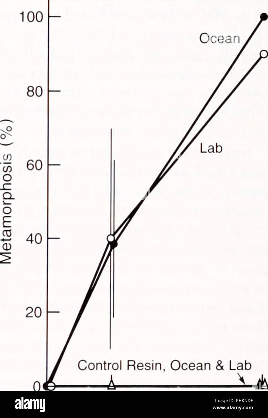 . Il bollettino biologico. Biologia; Zoologia; biologia; biologia marina. Frazione di 345678 Figura 3. Di scambio anionico chromalography. Cinque ml di pool morphogen eluita in frazioni di picco dalla resina HIC (frazioni 2-5 dalla Fig. 1) è stata diluita e cromatografato su Trisacryl-DEAE. La eluizione dalla colonna di DEAE è stata eseguita con un gradiente di aumento di concentrazione di Nacl (inserto) come descritto in Materiali e Metodi. Frac- zioni di 5 ml sono stati raccolti; 1,5 ml di ciascuna frazione è stata saggiata per l'attività morphogemc (linea continua). Ahsorbance a 212 nm è mostrato (linea tratteggiata); la maggior parte dell'abs applicata Foto Stock
