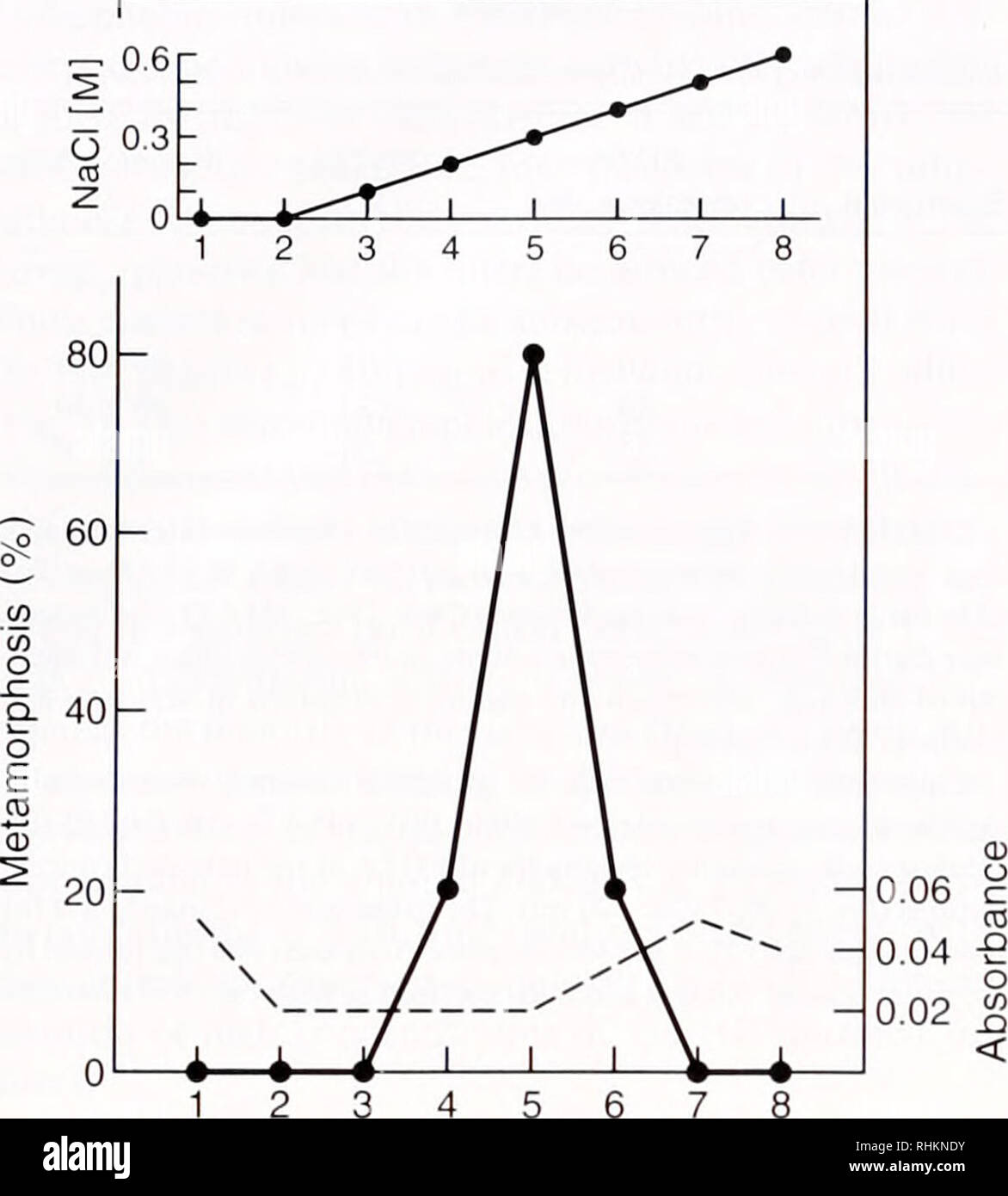 . Il bollettino biologico. Biologia; Zoologia; biologia; biologia marina. 178 D. E. MORSE ET AL - 0.6r. Frazione di 345678 Figura 3. Di scambio anionico chromalography. Cinque ml di pool morphogen eluita in frazioni di picco dalla resina HIC (frazioni 2-5 dalla Fig. 1) è stata diluita e cromatografato su Trisacryl-DEAE. La eluizione dalla colonna di DEAE è stata eseguita con un gradiente di aumento di concentrazione di Nacl (inserto) come descritto in Materiali e Metodi. Frac- zioni di 5 ml sono stati raccolti; 1,5 ml di ciascuna frazione è stata saggiata per l'attività morphogemc (linea continua). Ahsorbance a 212 nm è mostrato (linea tratteggiata Foto Stock