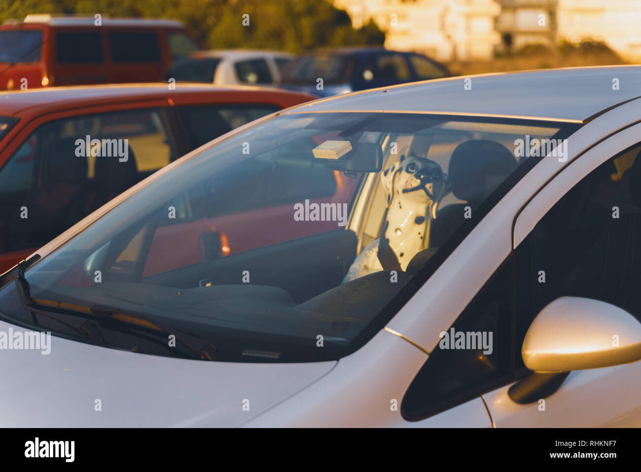 Foto surreale/situazione di porcellana statua del cane seduto con la cintura di sicurezza sul lato interno un vuoto di auto. Sole che splende sul cane passeggero. Foto Stock