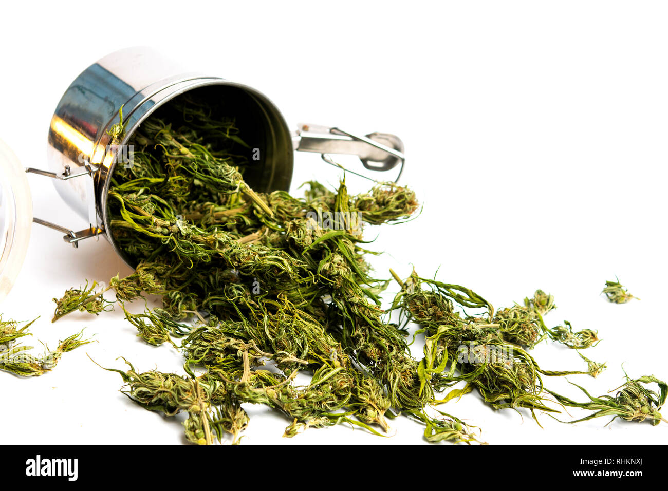 La marijuana la cannabis la canapa in fiore in una lattina di metallo Foto Stock