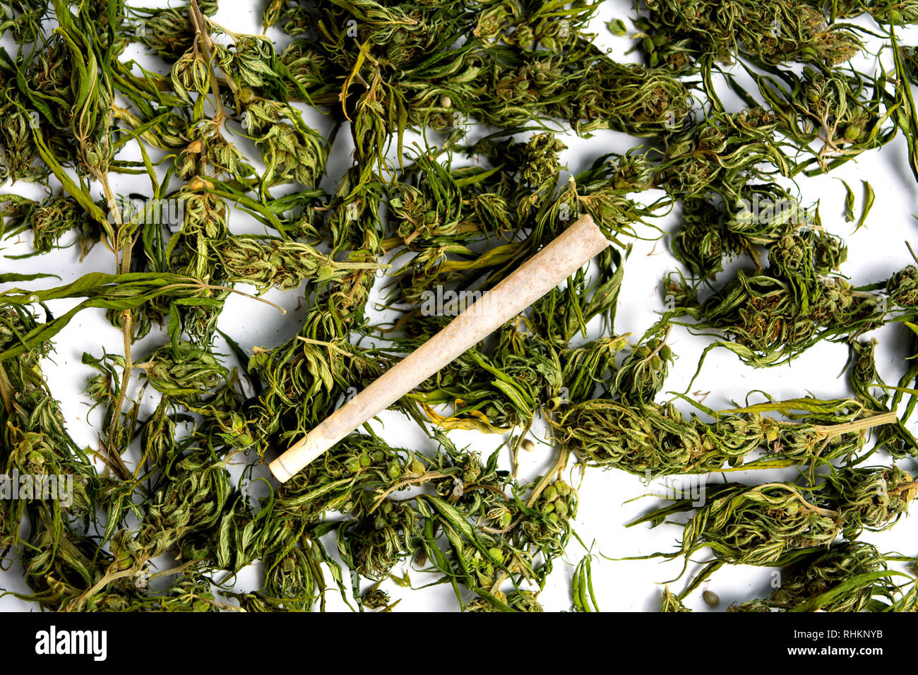 La marijuana cannabis canapa e un giunto su bianco vista superiore Foto Stock