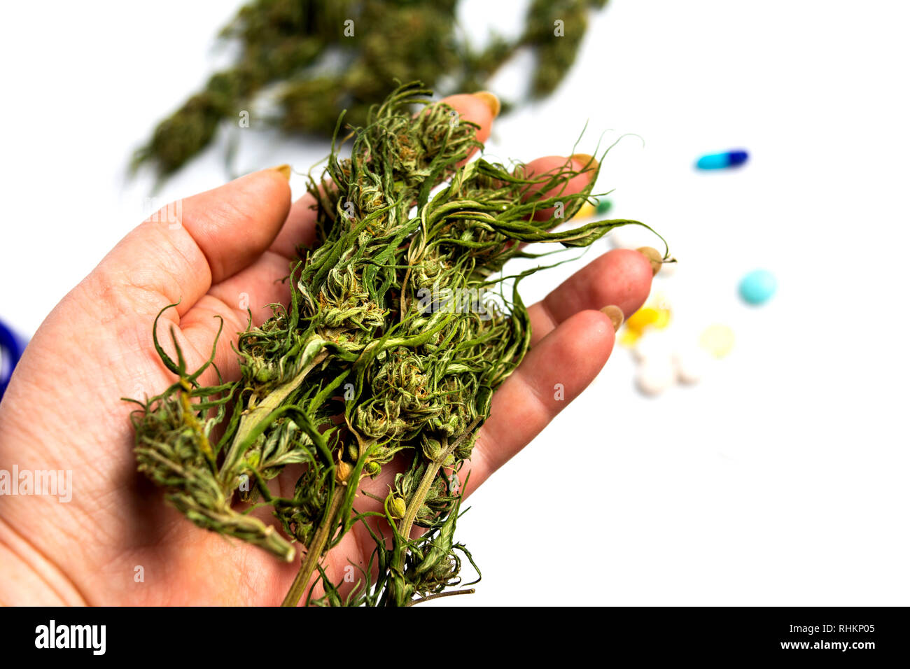 Persona in possesso di marijuana foglie di cannabis punto di vista Foto Stock