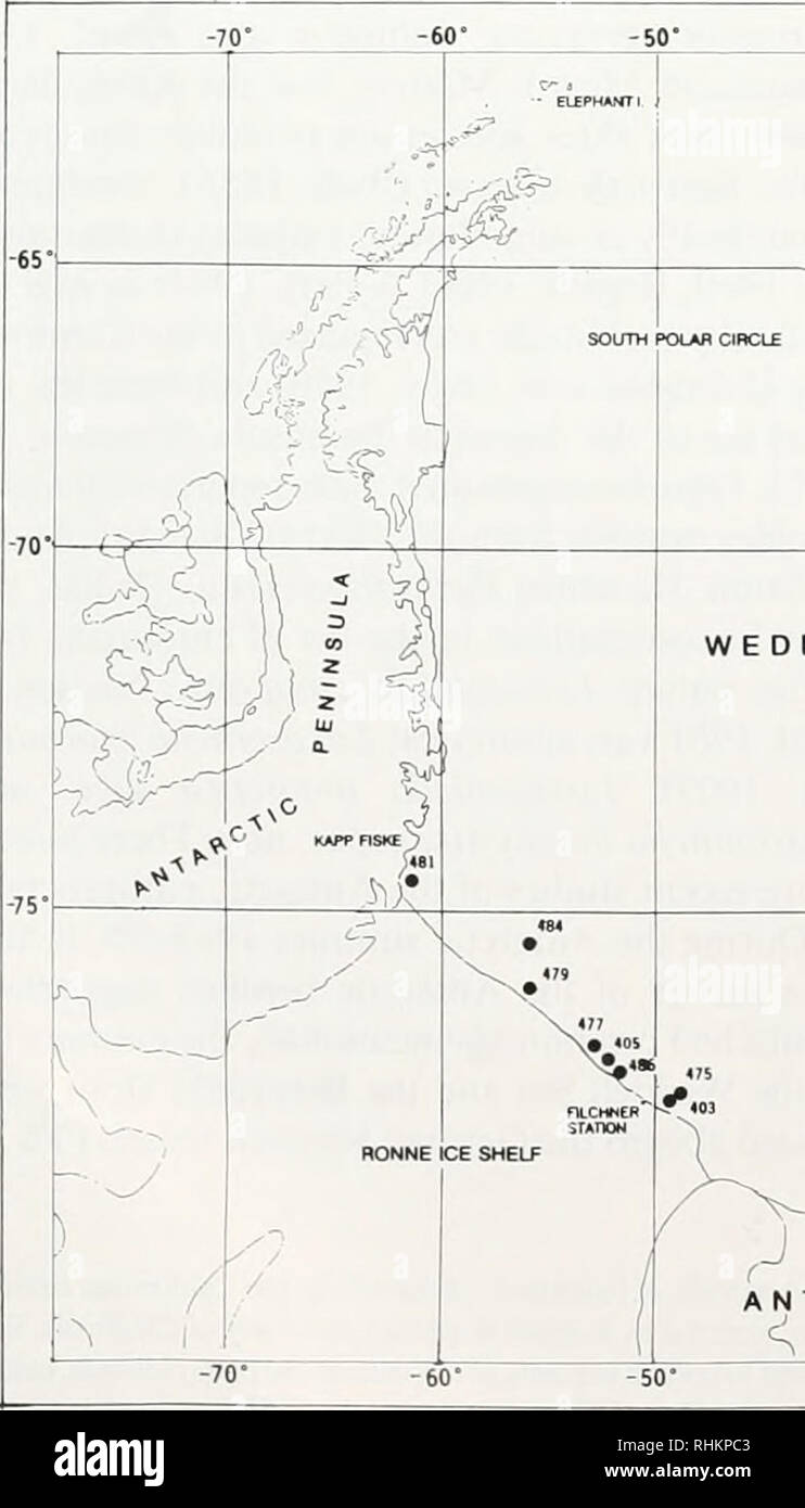 . Il bollettino biologico. Biologia; Zoologia; biologia; biologia marina. 154 P. EMSCHERMANN STERN e FFS METEOR. Bentonici sono stati prelevati dei campioni nel Mare di Weddell a 26 posizioni lungo il ripiano dalla sua nordest del bordo più basso per la base dell'Ant- arctic penisola. Quaranta-cinque cale sono state prese con entrambi un Agassiz Rete a strascico e un epibenthic sledge (Fig. 1. Tabella 1). Tranne che in tre stazioni in a 600-1100 m gamma di profondità, la maggior parte dei campioni sono stati presi tra 100 e 500 m (vedere Tabella I e Fig. 1). La fauna bentonica, specialmente come- sociations di-ciliare alimentatori, era generalmente più ricca, entrambi in abunda Foto Stock