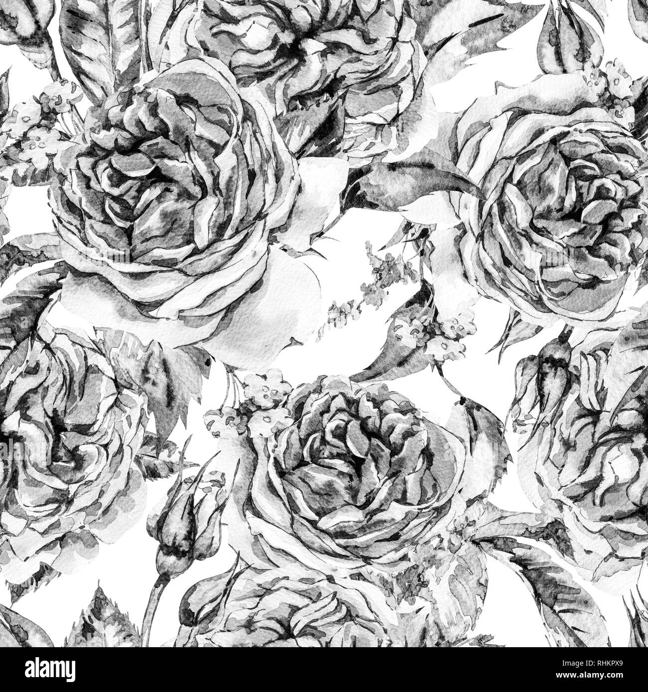 Classica acquerello monocromo Vintage Floral Seamless Pattern, acquerello bouquet di rose rosse e fiori selvatici, botanico naturale di illustrazione a Wh Foto Stock
