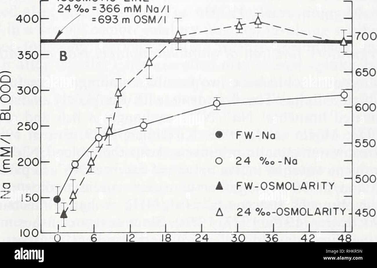 . Il bollettino biologico. Biologia; Zoologia; biologia; biologia marina. 100, 50 100 150 200 250 300 350 400 450 mM I I I I I I 14 21 %o salinità 24 28 ISOSMOTICI LINEA: = 366mM n/I = 693mOSM/l • FW-no o 24 %0-No un FW-osmolarità un 24 %o-osmolarità. 12 18 24 30 36 tempo (h ) 42 48 CO o CR E CO o di 0 o 3 CD FIGURA 6. (A) sangue Na+ concentrazioni in gamberetti acclimatate gradualmente a una specifica la salinità da 0%o al 28%o. Gli animali sono stati tenuti in un dato test salinità 48 h prima del campionamento. I punti sono la media ± SE di almeno otto animali per la salinità. B) corso di tempo cambia nel sangue Na+ e osmolarità totale dopo Foto Stock