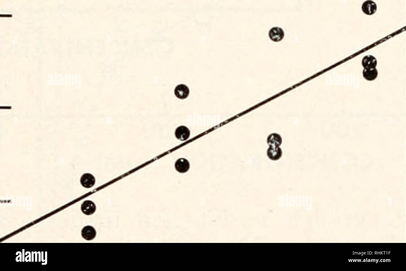 . Il bollettino biologico. Biologia; Zoologia; biologia; biologia marina. incubazione I # T- *• la sciacquatura J  12 16 Tempo (min) 20 24 500 I 400 z u 300 O u 200 &gt;- u 2 100. incubazione I I .* *• washout # J 12 16 20 Tempo (min) 24 28 figura 2. Il corso del tempo di assorbimento e di dilavamento di "C-cycloleucine in dischi gill incubate in due diverse concentrazioni di 12C-cycloleucine. Ciascun punto è la radioattività da un singolo disco gill. Le linee continue sono stati adattati mediante il metodo dei minimi quadrati; le linee tratteggiate sono i tassi di dilavamento previsto dai dati riportati in figura 1. La y-intercetta prevista mediante la Foto Stock